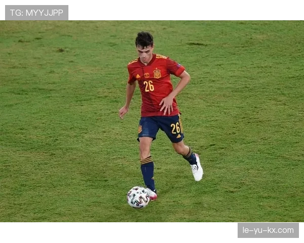 《重温瞬间：欧洲杯纪录片聚焦足球激情与荣耀，引发球迷情感共鸣》